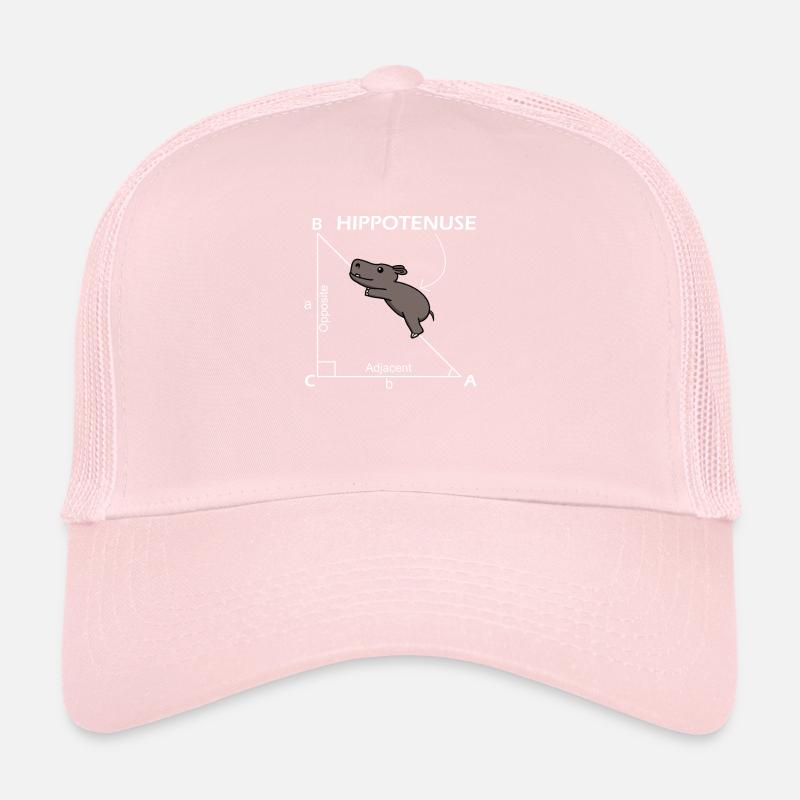 Math Hippotenuse Hypotenuse Professeur de mathématiques Casquette trucker 