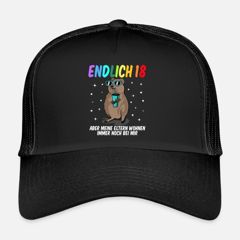 18 Geburtstag Fun Geschenk lustig 18. Ehrentag - Trucker Cap - Schwarz/Schwarz