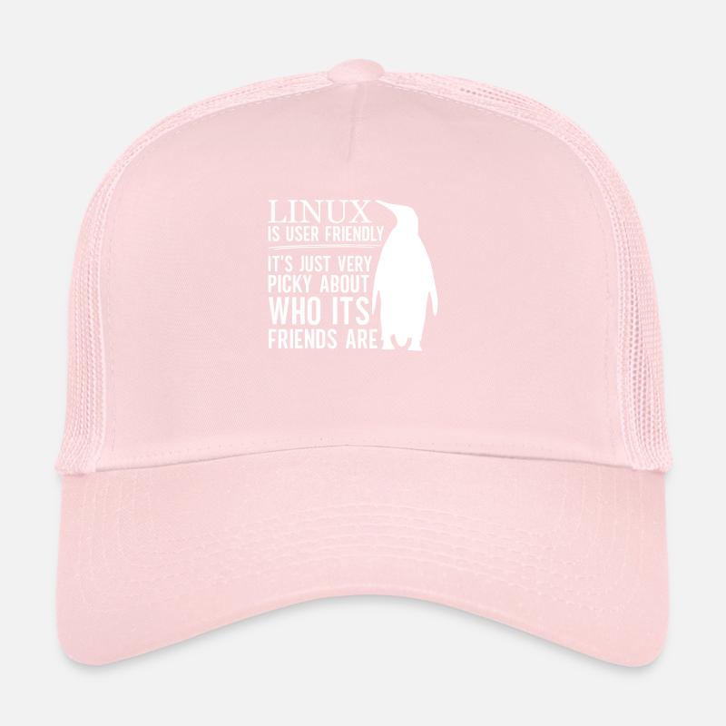 Linux Is User Friendly - Cloud Computing Engineer Trucker Cap