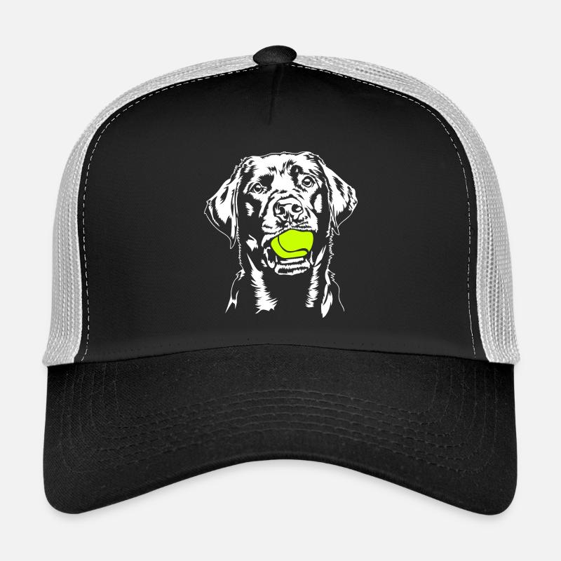 Labrador Balljunkie Labbi Chiens Wilsigns Casquette trucker 