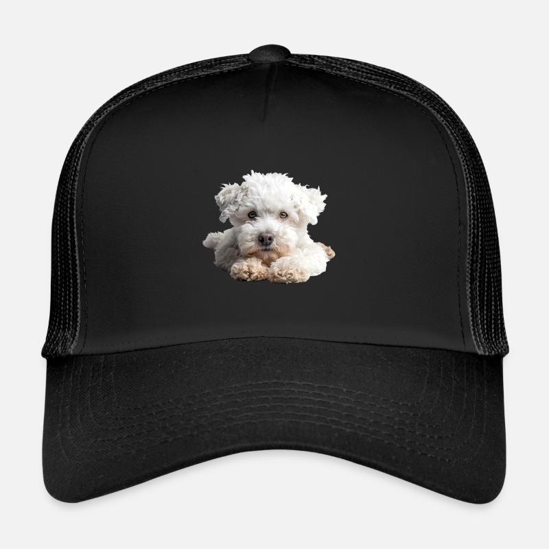 Bolognes Casquette trucker 