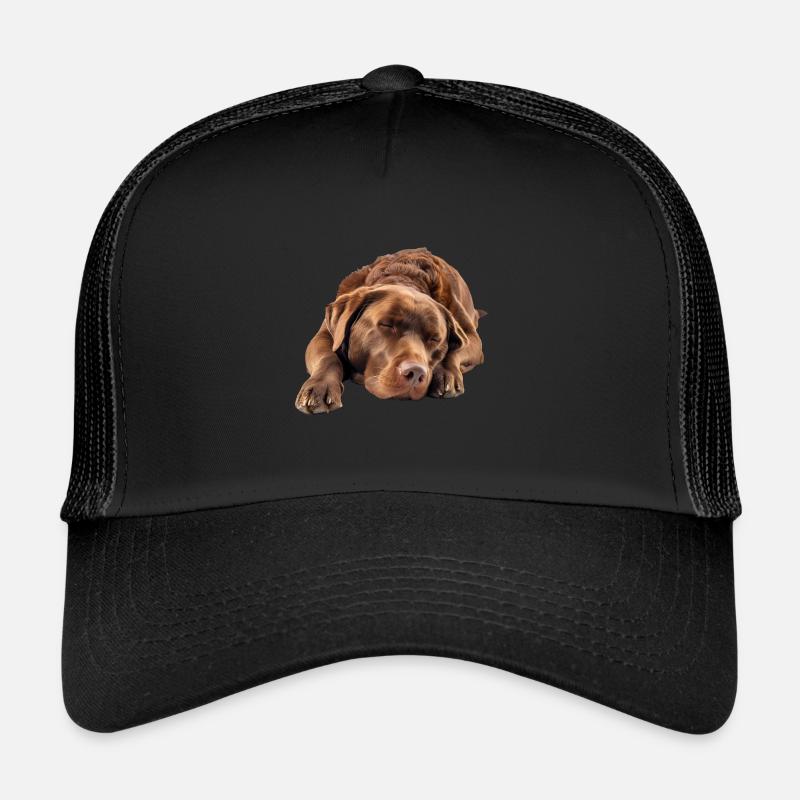 Retriever de la baie de Chesapeake Casquette trucker 