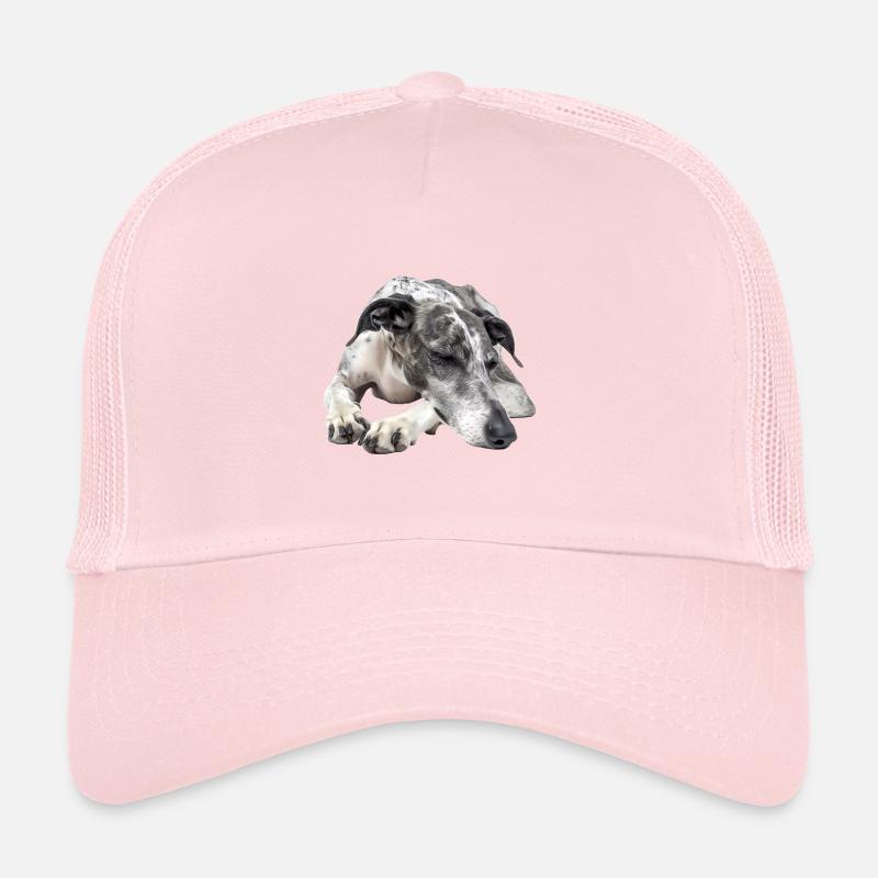 Greyhound Trucker Cap