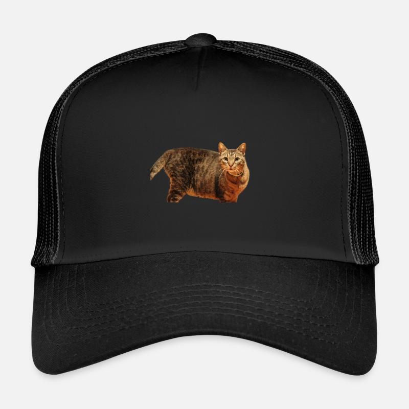 Katze Kätzchen - Trucker Cap - Schwarz/Schwarz