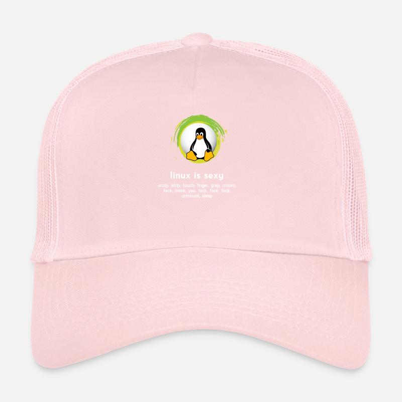 Computer System Penguin Nerd pc inside code admin Casquette trucker 