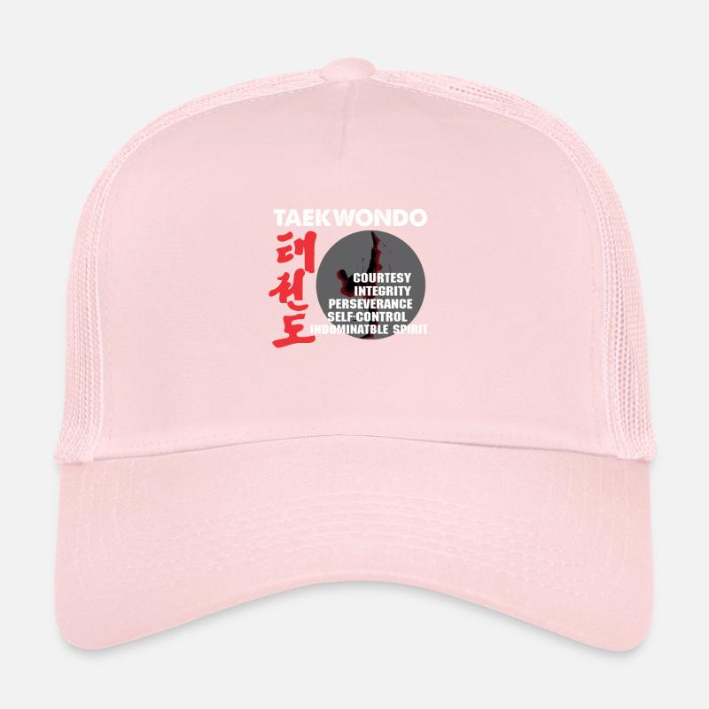 Taekwondo teach martial arts Tae kwon do do Trucker Cap
