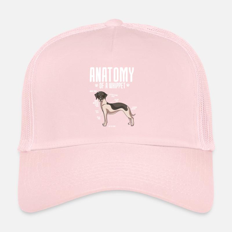 Casquette trucker