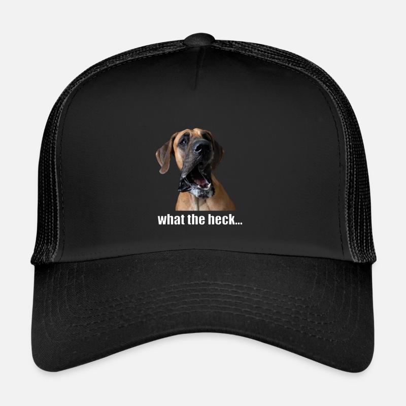 What the heck..! - Trucker Cap - Schwarz/Schwarz