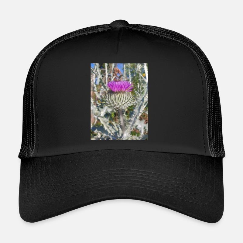 Chardon écossais aussi chardon laineux Casquette trucker 