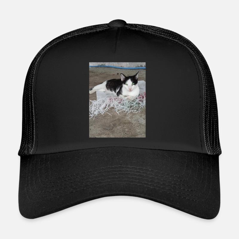 Katzen - Trucker Cap - Schwarz/Schwarz