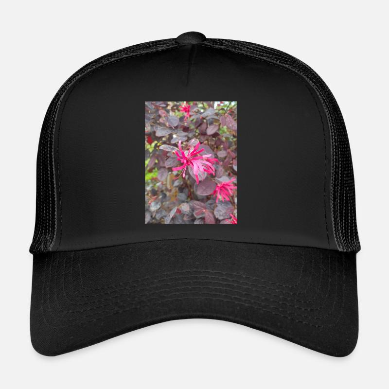 Perle noire Loropetalum chinense Casquette trucker 