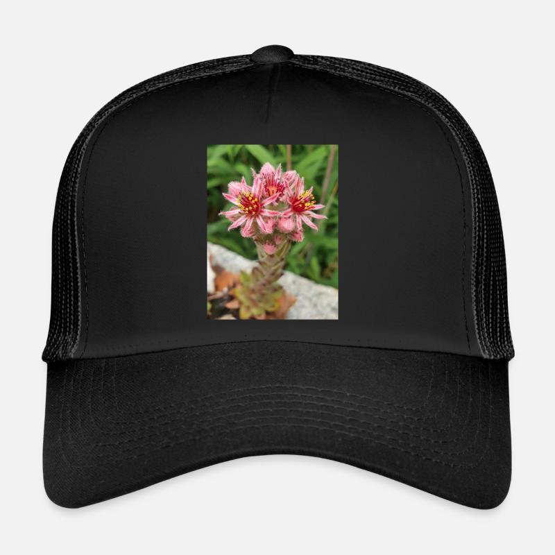 liveforever auch Henne und Küken Sempervivum - Trucker Cap - Schwarz/Schwarz