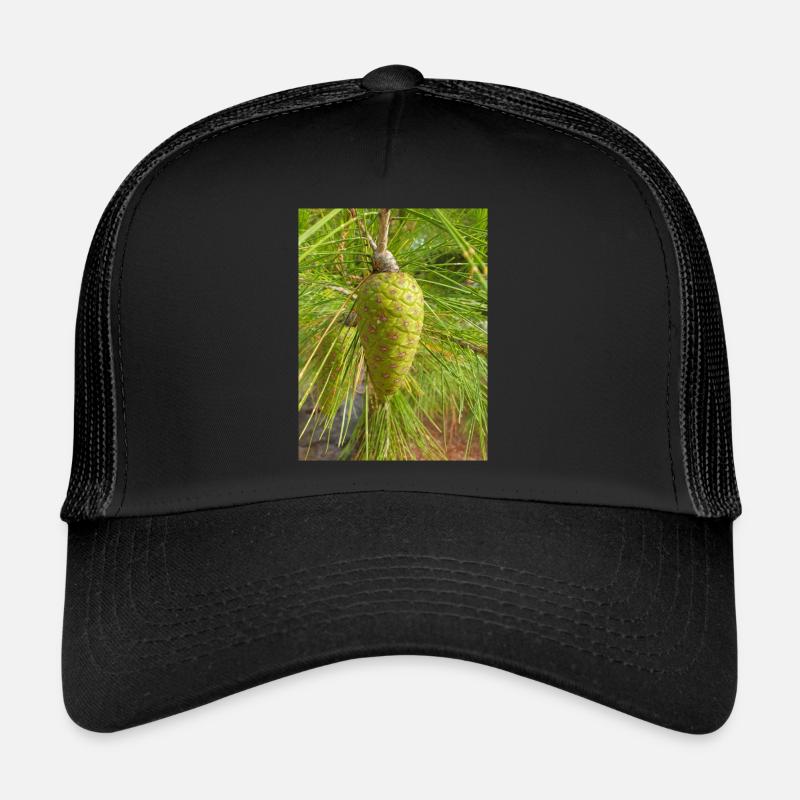 Pin d’Alep aussi Pin de Jérusalem Alep-Kiefer Casquette trucker 