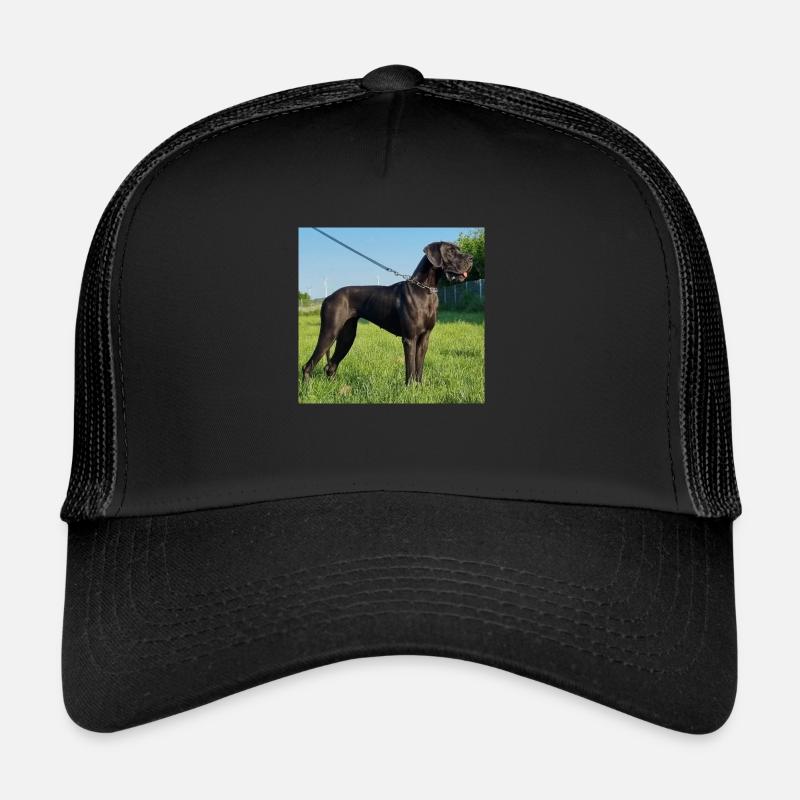 Élite du Bosquet des druides Casquette trucker 