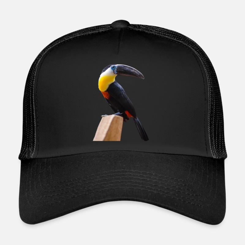 langSchnabel Vögel - Trucker Cap - Schwarz/Schwarz