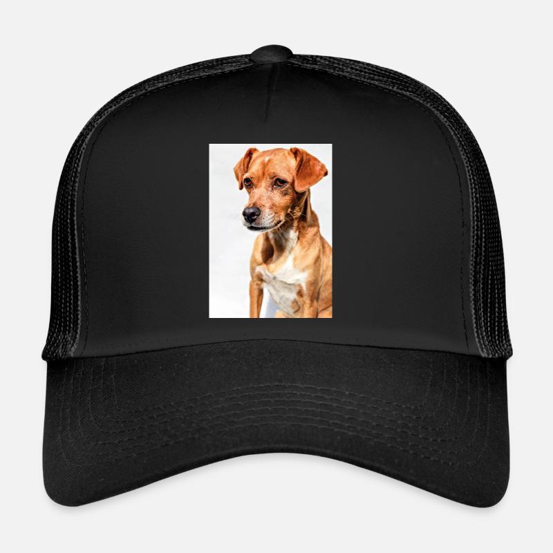 Hunde Portrait Weiß - Trucker Cap - Schwarz/Schwarz
