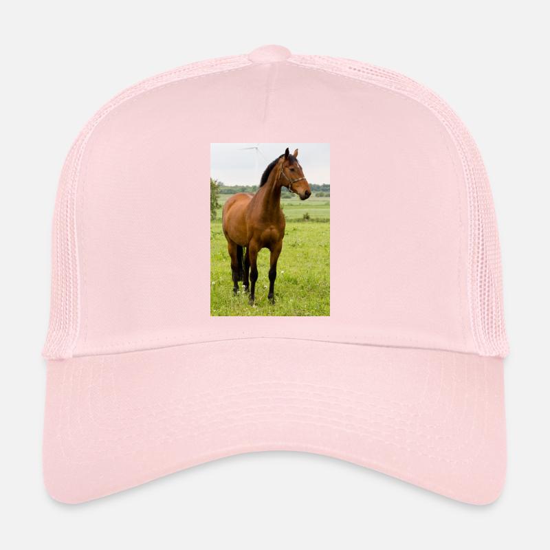 Cheval. Cheval. Casquette trucker 