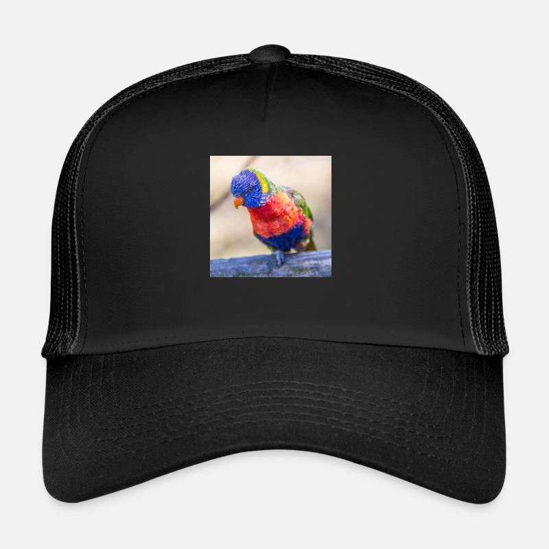 Regenbogenloris (Allfarblori, Trichoglossus) Trucker Cap