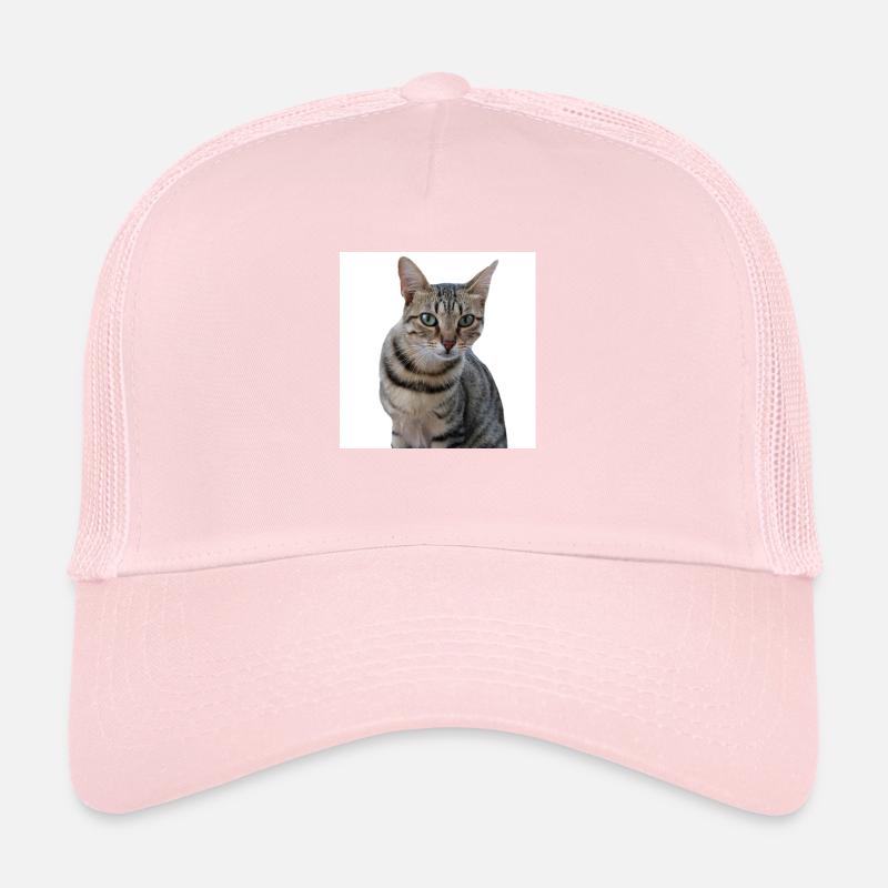 Chat chat chaton doux Casquette trucker 