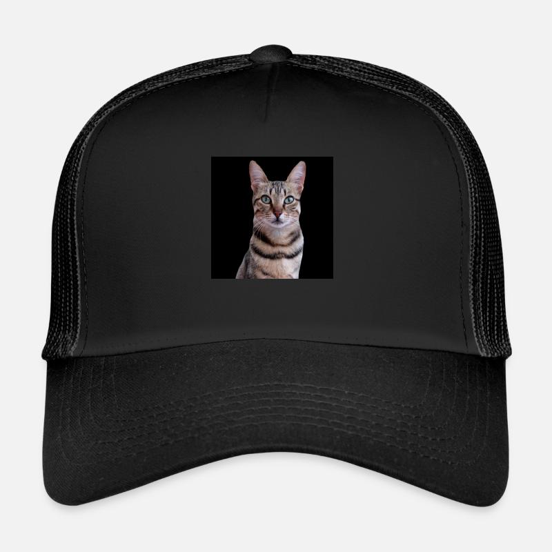Cat Cats Trucker Cap