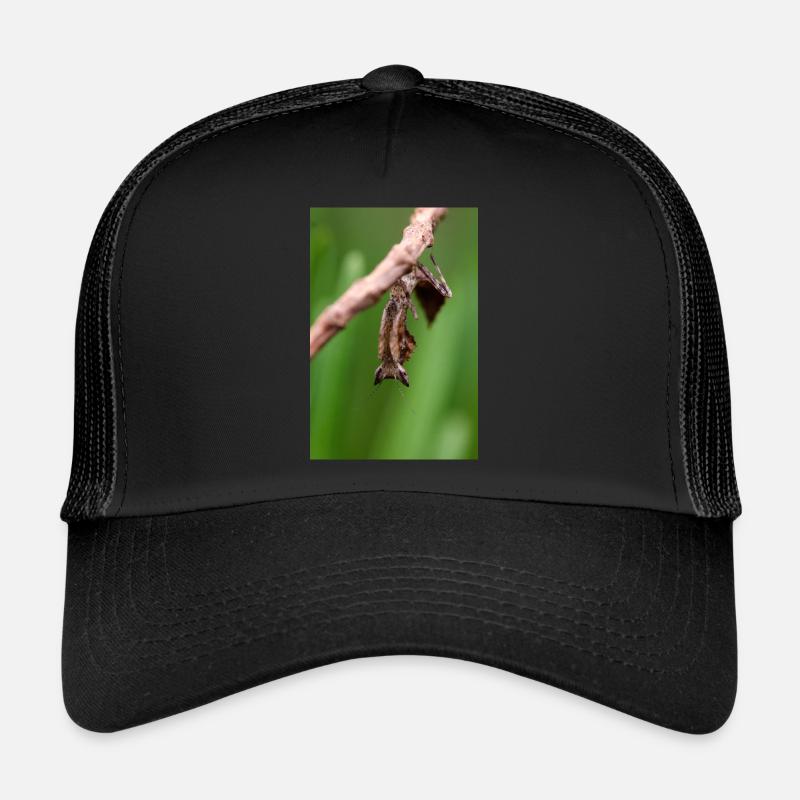 Brancsikia freyi Nymphe/Jungtier Trucker Cap