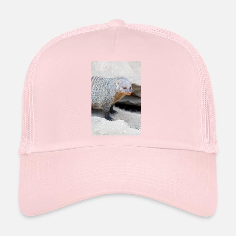 Banded Mongoose or Zebra Mongoose Trucker Cap