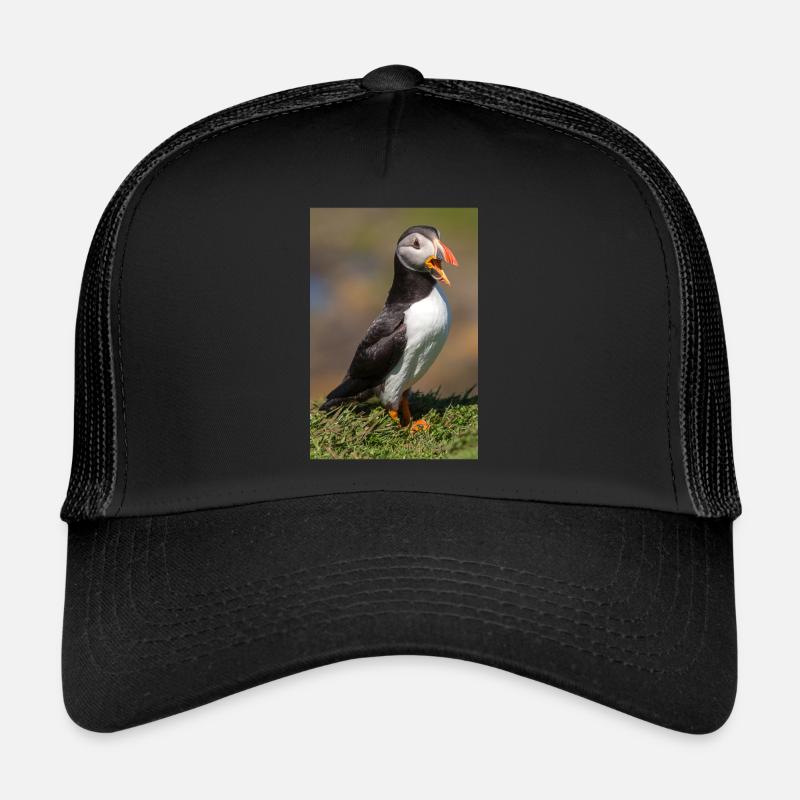 Puffin - Trucker Cap - black/black