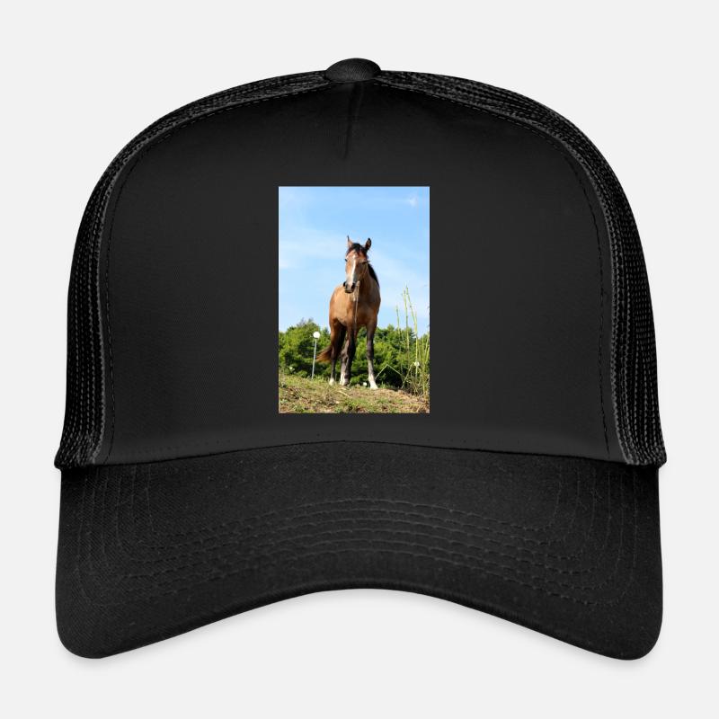 Pferd - Trucker Cap - Schwarz/Schwarz