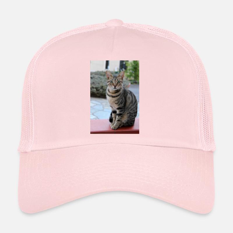 chat, chaton Casquette trucker 