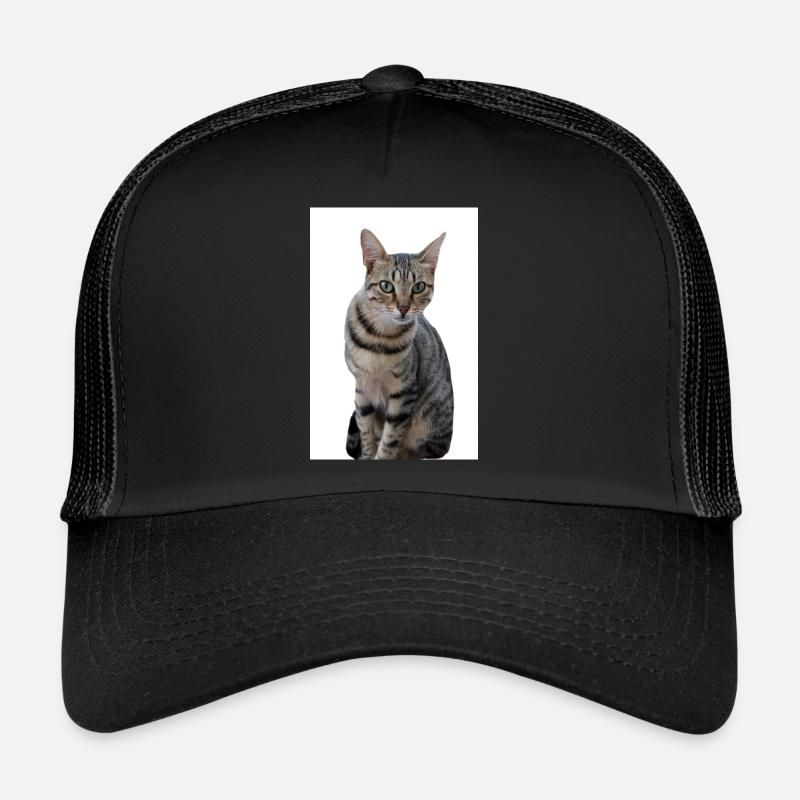 Chat chat noir chaton - Casquette trucker  - noir/noir