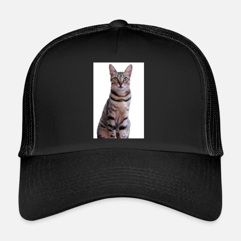 Katze Kätzchen Trucker Cap
