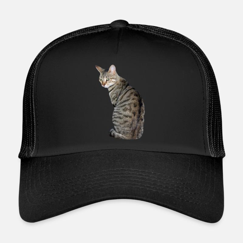 Chat, Chaton, Chat Tigre Casquette trucker 