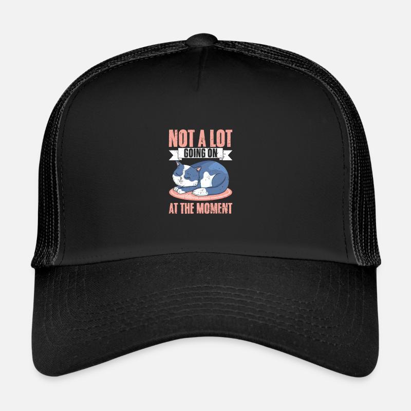 Sleeping Cat Not A Lot Going On At The Moment A Trucker Cap