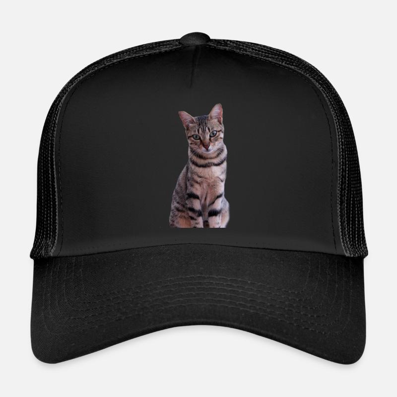 Chaton chat Casquette trucker 