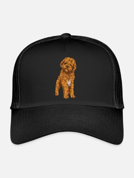 Cavapoo Capoodle Cavoodle Dog Gift - Trucker Cap - black/black - Front