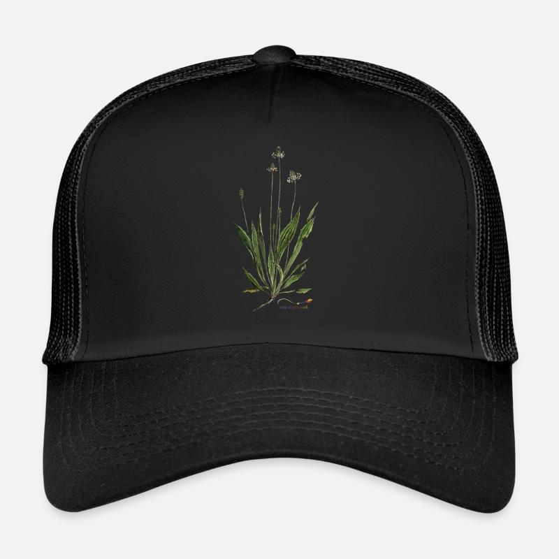 Spitz-Wegerich Casquette trucker 