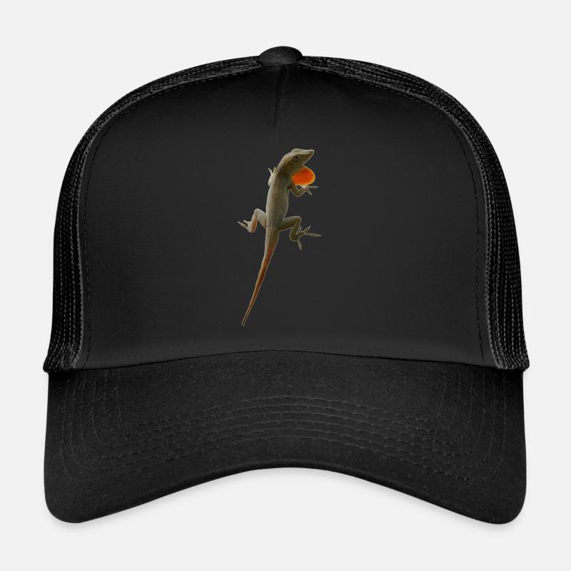 Echsen-Männchen Anolis grahami auf Jamaica Trucker Cap