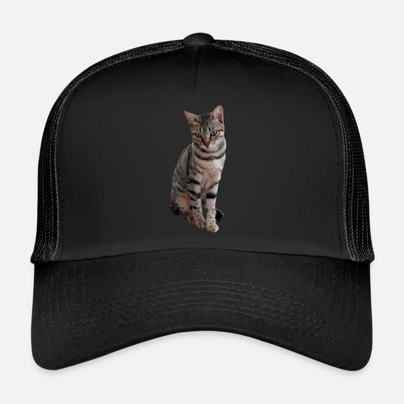 chat, chaton Casquette trucker 