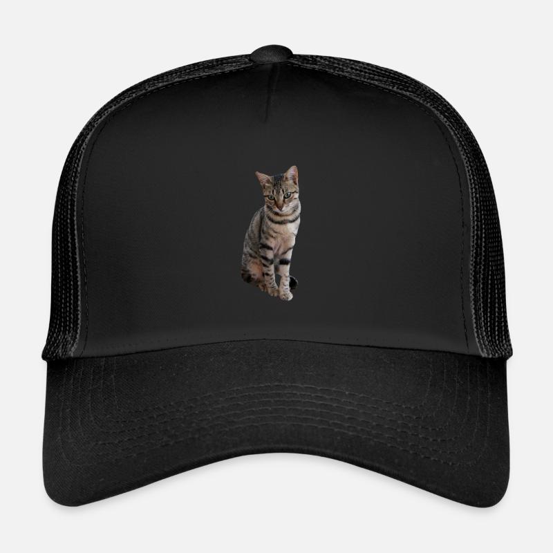 Katze Kätzchen Tigerkatze Katzenshirt Geschenk - Trucker Cap - Schwarz/Schwarz
