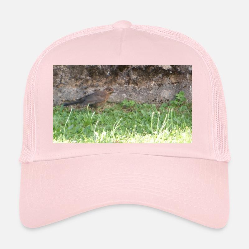 Oiseau Casquette trucker 