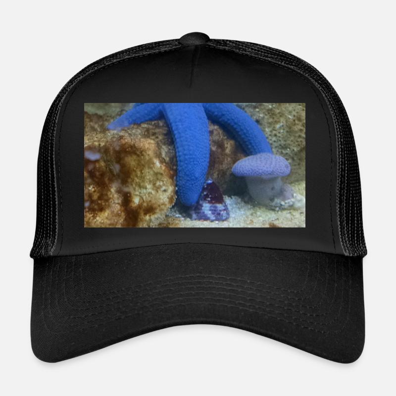 Blauer Seestern Trucker Cap