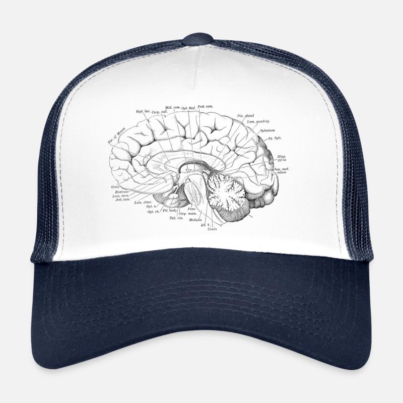 Menschlicher Körper - Gehirn vol.2 - Trucker Cap - Weiß/Navy