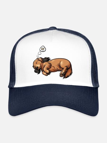 Teckel à poil long Teckel Teckel Teckel - Casquette trucker  - blanc/marine - Devant