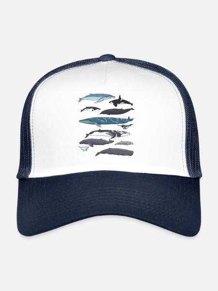 Type de baleines Mignon océan et mammifères aquatiques Guid - Casquette trucker  - blanc/marine - Devant