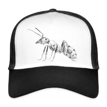 Ant - Trucker Cap - white/black - Front