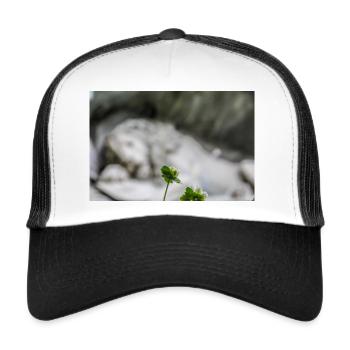 Lion Monument - Trucker Cap - white/black - Front