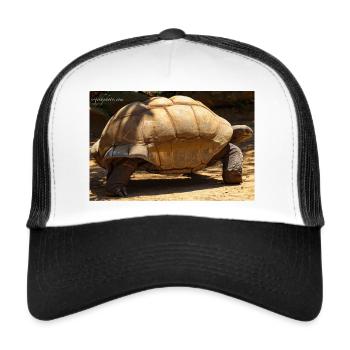 Galapagos Riesen-Schildkröte - Trucker Cap - Weiß/Schwarz - Vorne