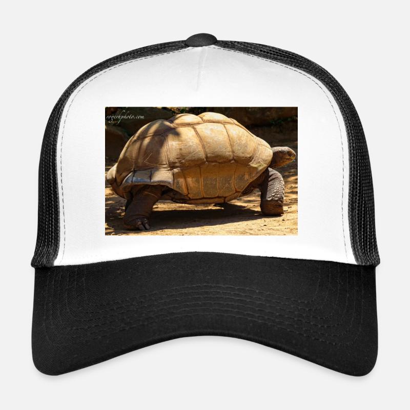 Galapagos Giant Turtle - Trucker Cap - white/black
