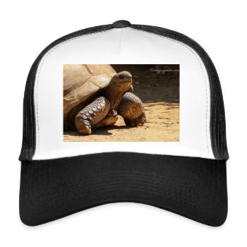 Galapagos Risenschildkröte - Trucker Cap - Weiß/Schwarz - Vorne