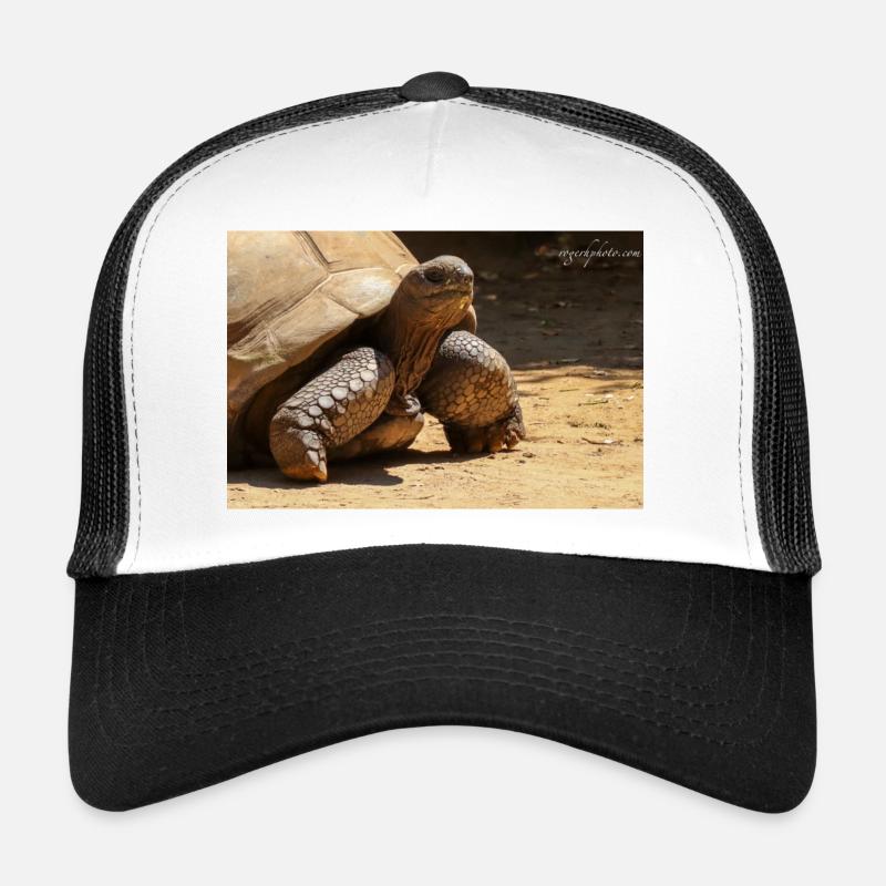 Galapagos Risen Turtle Trucker Cap